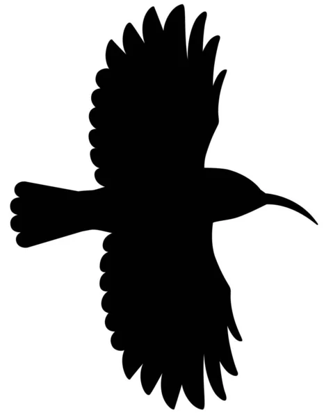 Hoopoe Bird Flight Vector Silhouette Picture Logo Pictogram Hoopoe Bird — ストックベクタ