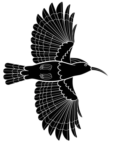 Hoopoe Bird Flight Vector Silhouette Picture Logo Pictogram Hoopoe Bird Vektorová Grafika