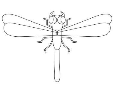 Dragonfly predatory insect - vector linear picture for coloring. Outline. dragonfly for coloring book