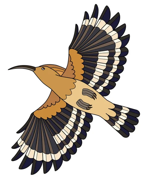 Hoopoe Bird Flight Bottom View Vector Full Color Image Eurasian — Stock vektor