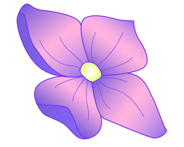 Flower Hydrangea Inflorescence Vector Full Color Element Purple Delicate Hydrangea — Vetor de Stock