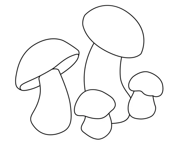 Edible Mushrooms Vector Linear Coloring Picture Edible Forest Mushrooms Outline — Stok Vektör