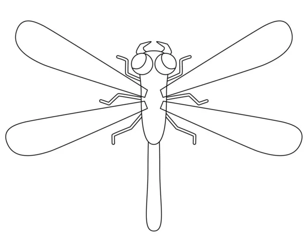 Dragonfly Predatory Insect Vector Lineair Beeld Voor Het Kleuren Van — Stockvector