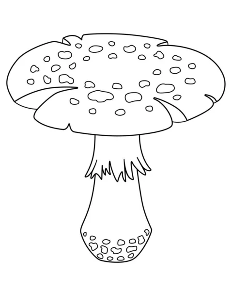 飞琼脂 大斑点蘑菇 矢量线性图片为着色书 标志或象形文字 天野毒菌 用于书籍 标志或图标的着色 — 图库矢量图片