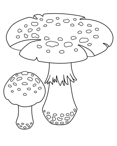 飞琼脂 大小蘑菇 矢量线性图像 用于着色 Amanita 有毒症的斑点蘑菇 用于着色书籍 — 图库矢量图片