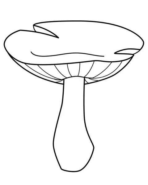 Champiñón Comestible Lactarius Imagen Lineal Vectorial Para Colorear Esquema Seta — Vector de stock