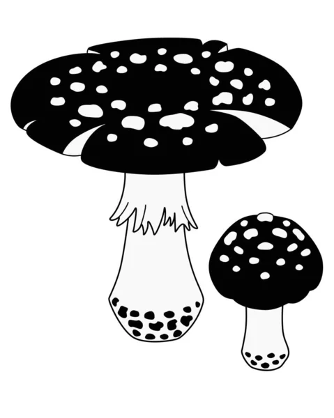 Vlieg Agaric Grote Kleine Paddestoelen Vector Silhouet Beeld Voor Logo — Stockvector