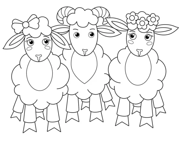 Koyun Bir Koç Sevimli Bir Hayvan Sürüsü Boyama Için Vektör — Stok Vektör