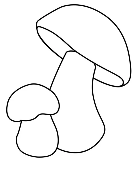 ペニーパン 2つの食用の森キノコ 着色本 ロゴやピクトグラムのためのベクトル線形画像 Boletus Edulis ペニーパン アイコンやサインのための珍味キノコ — ストックベクタ