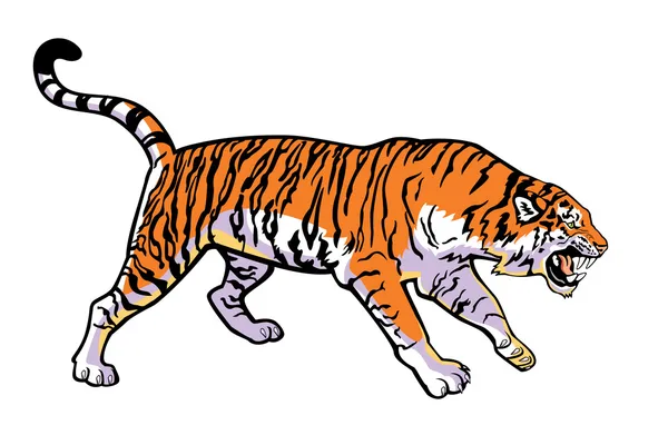 Атакуючий тигр на білому — стоковий вектор