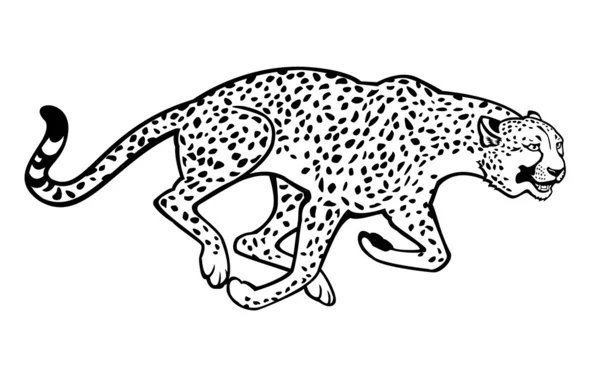 Laufender Gepard schwarz-weiß — Stockvektor