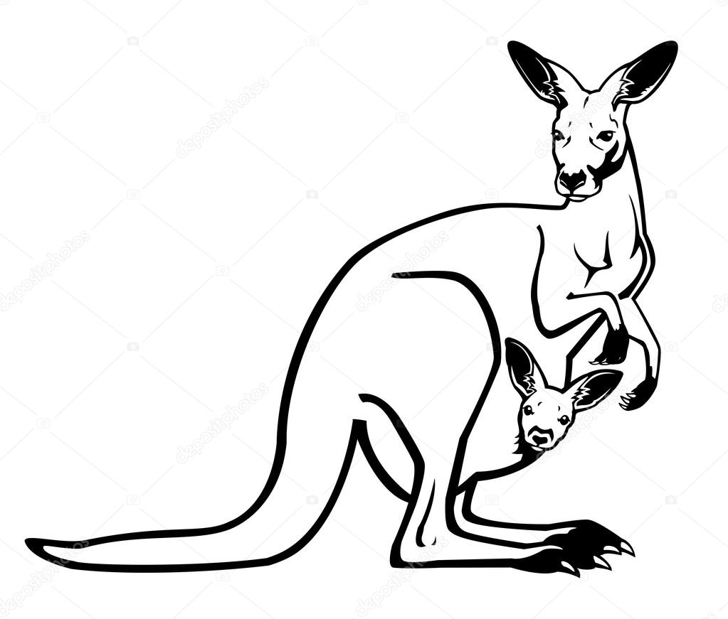 kangaroo with baby black and white stock vector 169 insima kangaroo with baby black and white stock vector 169 insima
