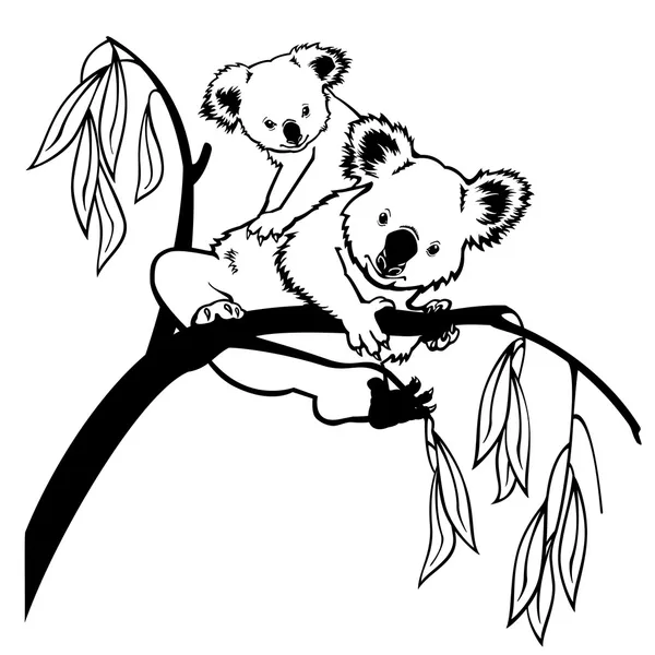 Koala con bebé blanco y negro — Vector de stock