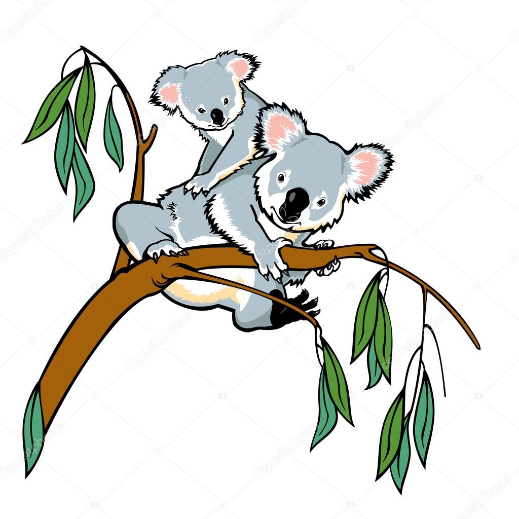 Koala with joey
