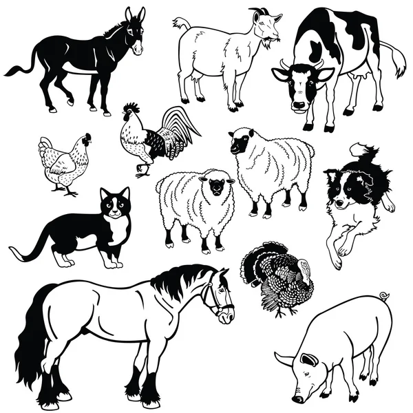 Set con animales domésticos imágenes en blanco y negro — Vector de stock