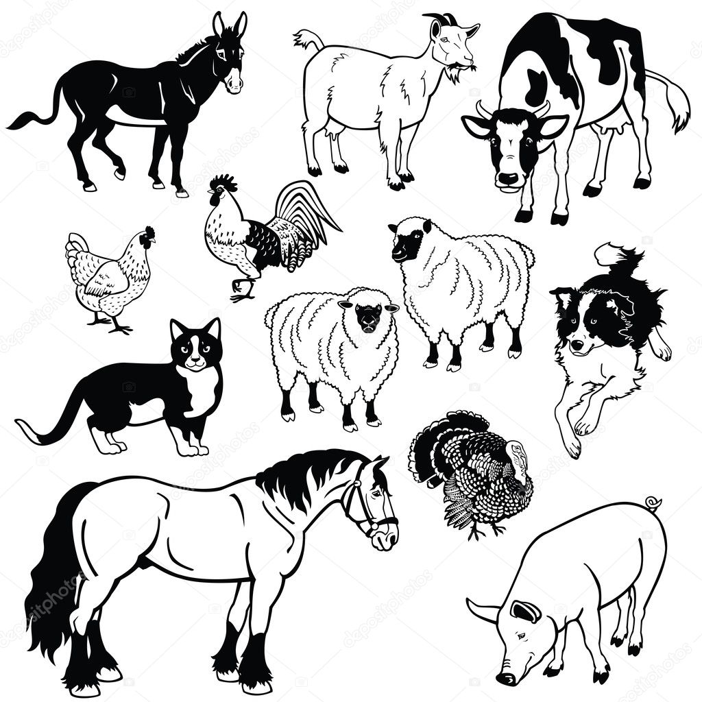 Set with domestic animals black and white images