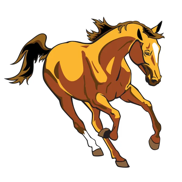 Correndo cavalo marrom isolado em branco — Vetor de Stock