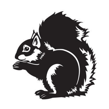 Black and white sitting squirrel vector