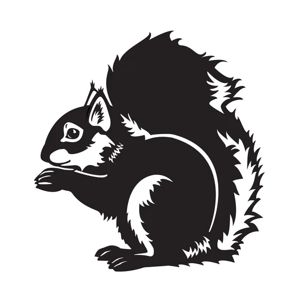 Black and white sitting squirrel — Stock Vector