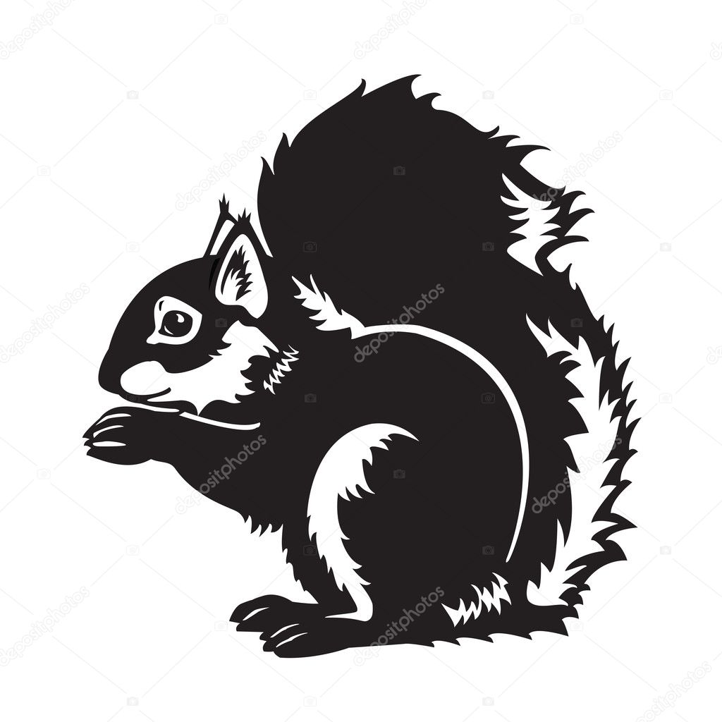 Black and white sitting squirrel Stock Vector Image by ©insima 13038279