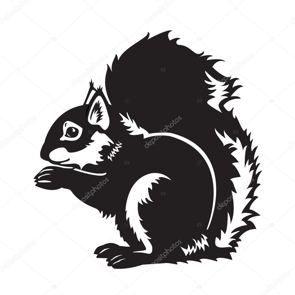 Black and white sitting squirrel