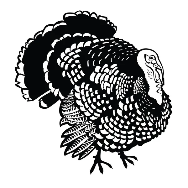 Standing turkey black and white — Stock Vector