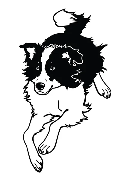 Chien de course noir et blanc — Image vectorielle