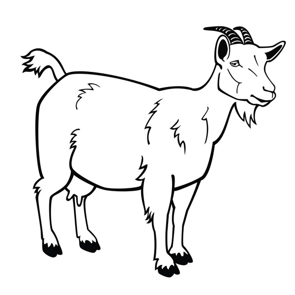 Standing goat black and white image — Stock Vector