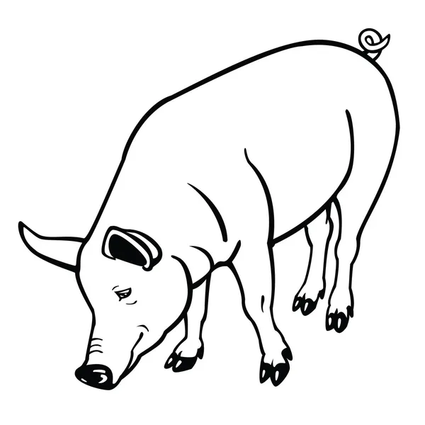 Standing pig black and white — Stock Vector