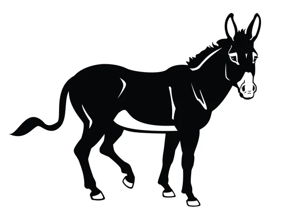 Standing donkey black and white image — Stock Vector