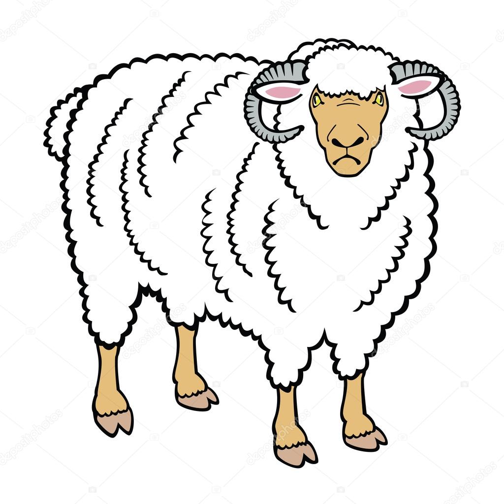 Standing ram isolated on white
