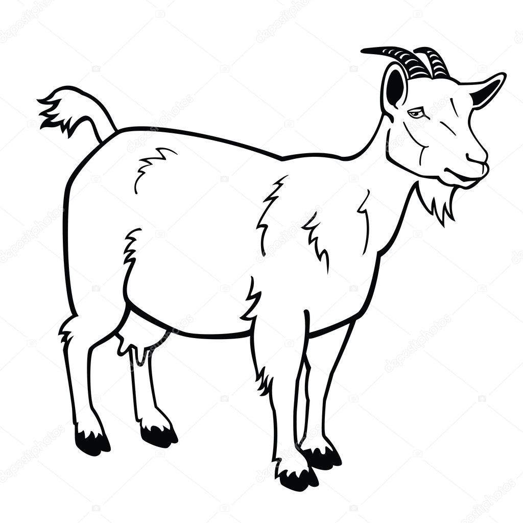 Standing goat black and white image