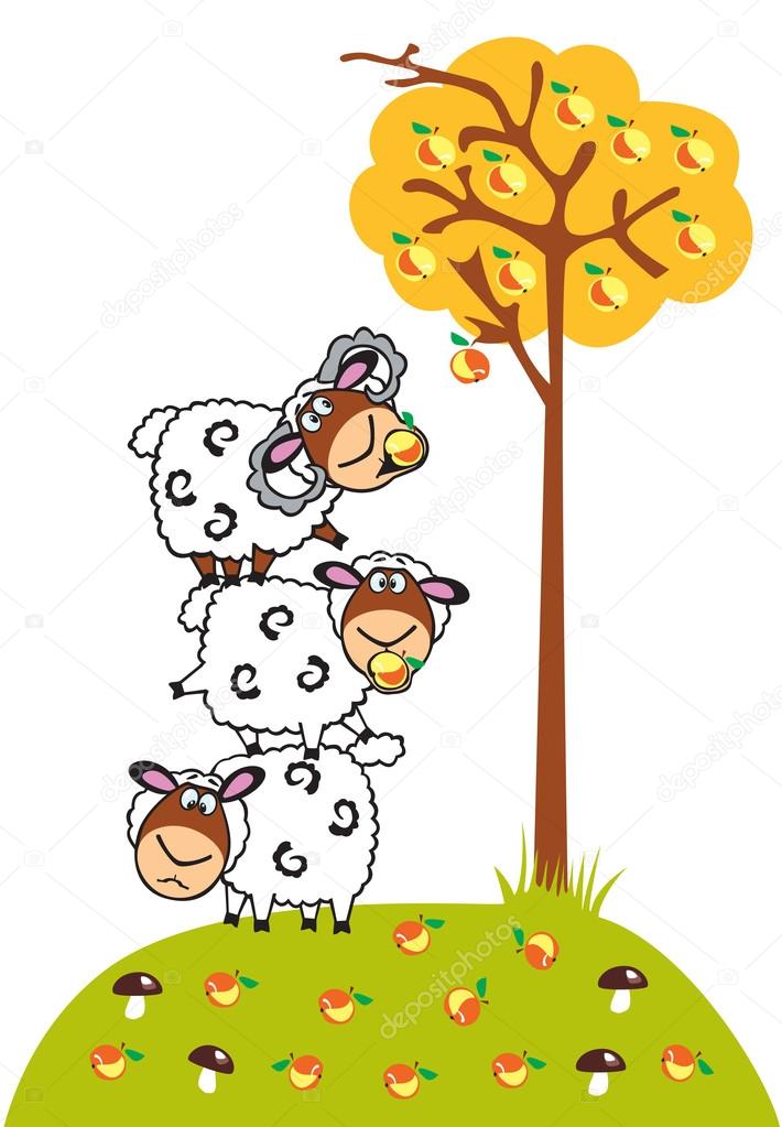 Three cartoon sheep and apples