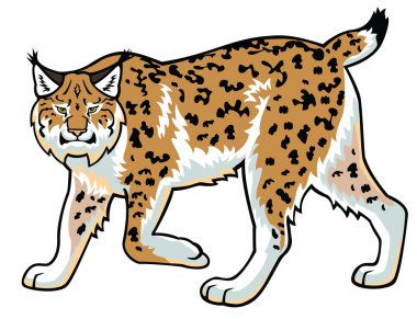 Beyaz Lynx