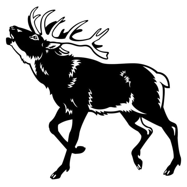 Cerf rouge noir et blanc — Image vectorielle