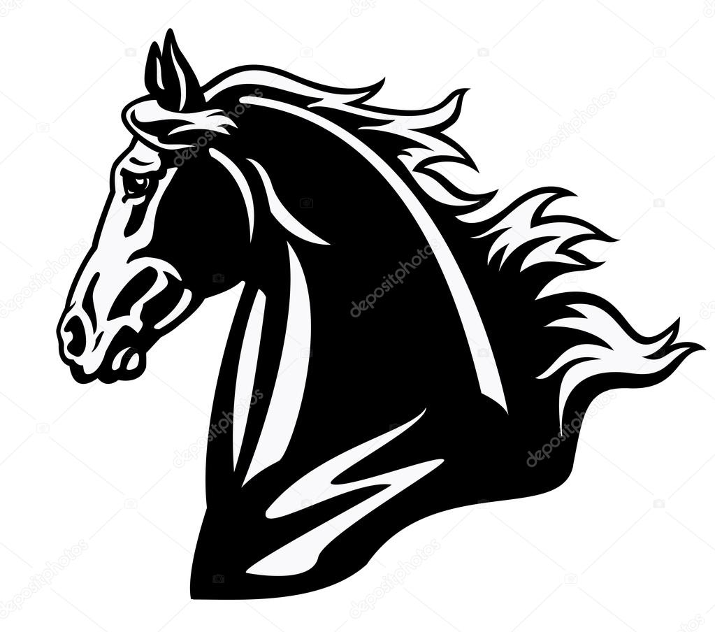 Horse head black and white profile