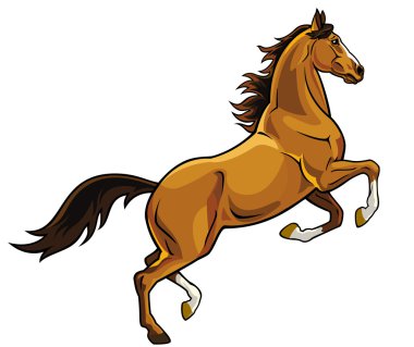 Rearing brown horse clipart