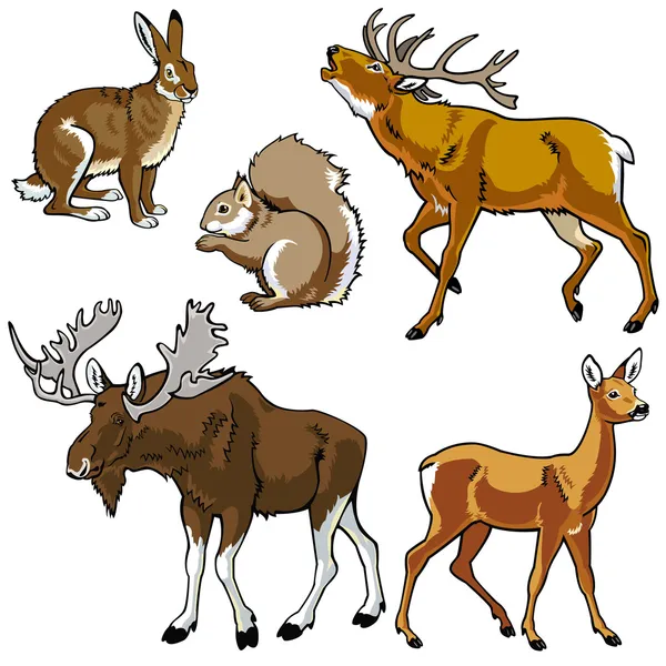 Set van bos dieren — Stockvector