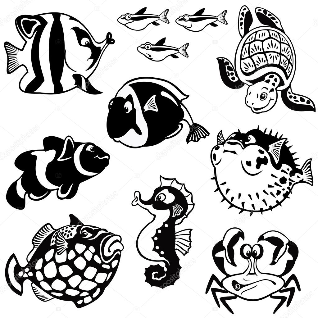 Set with fishes black and white