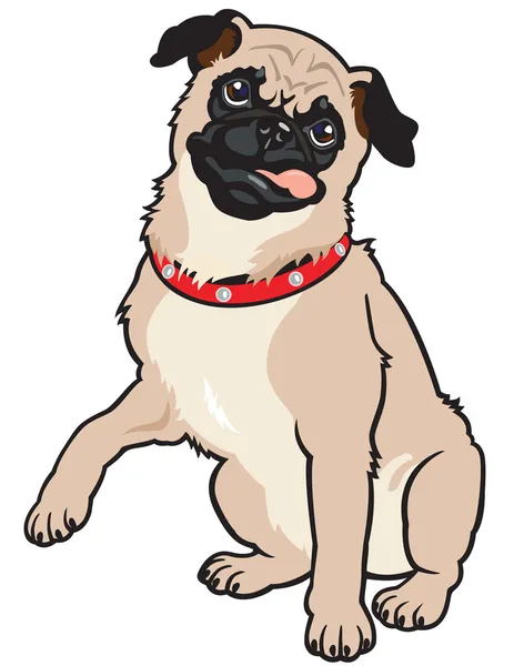 Cão pug — Vetor de Stock