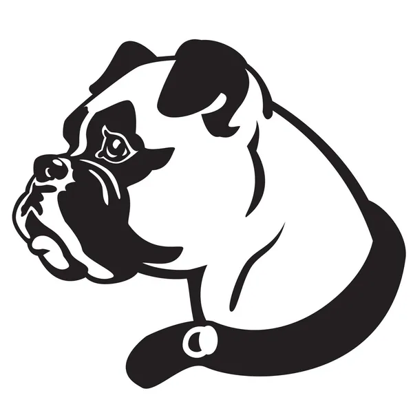 Boxer dog head black white — Stock Vector