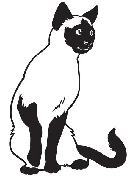 Siamese cat black and white — Stock Vector