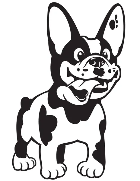 卡通法国斗牛犬黑白色 — 图库矢量图片