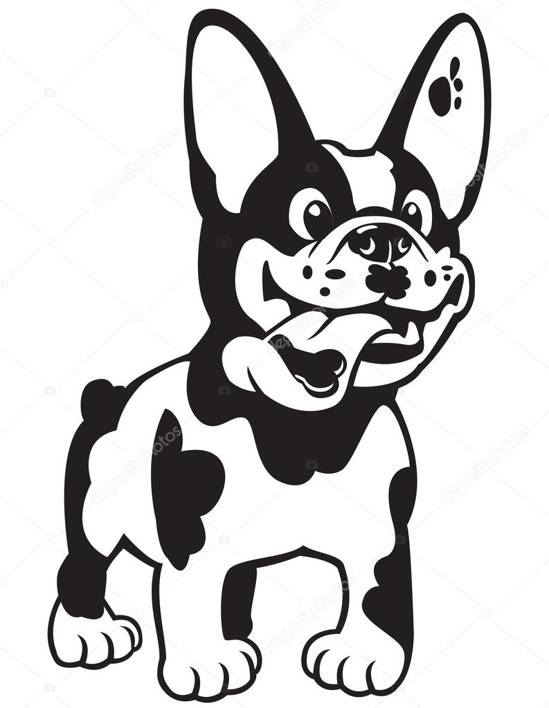 Cartoon french bulldog black white