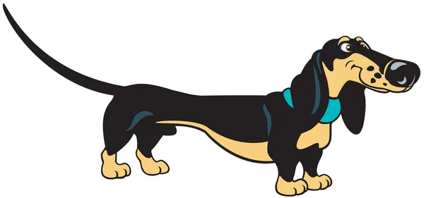 Ayakta karikatür dachshund — Stok Vektör