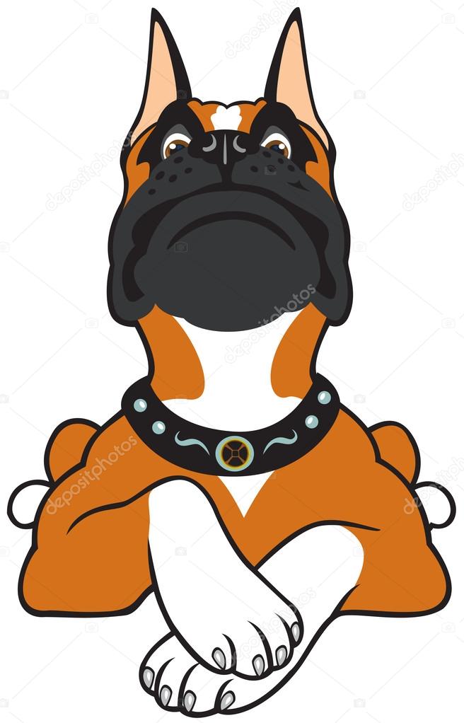 Boxer Dog Wallpaper Cartoon - bmp-future