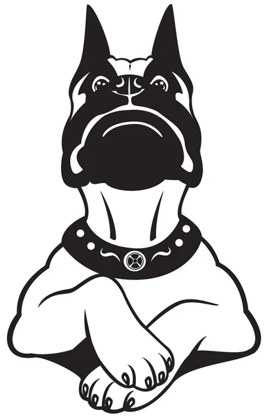 Cartoon boxer blach blanc — Image vectorielle