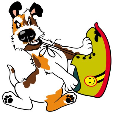 köpek kemirmek Ayakkabı