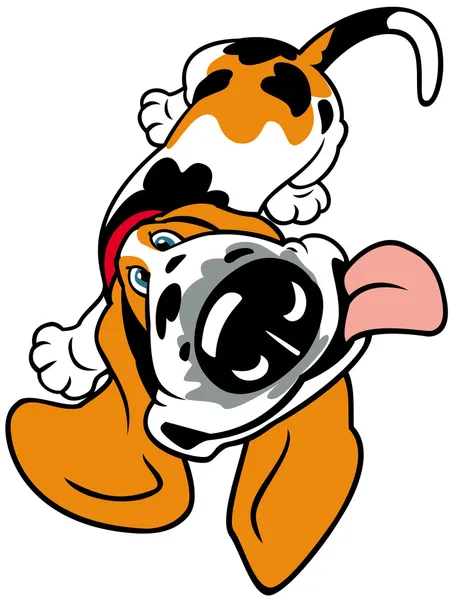 Cachorro basset de dibujos animados — Vector de stock