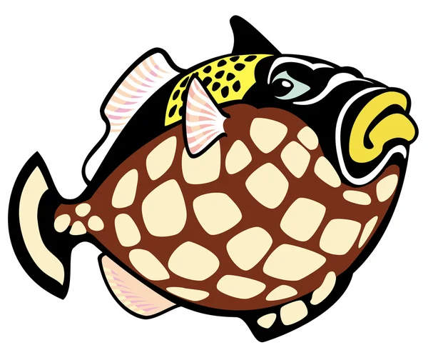 Cartoon trigger fish — Stock Vector